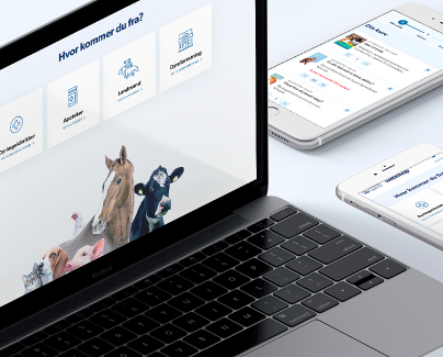 BI - Webshop